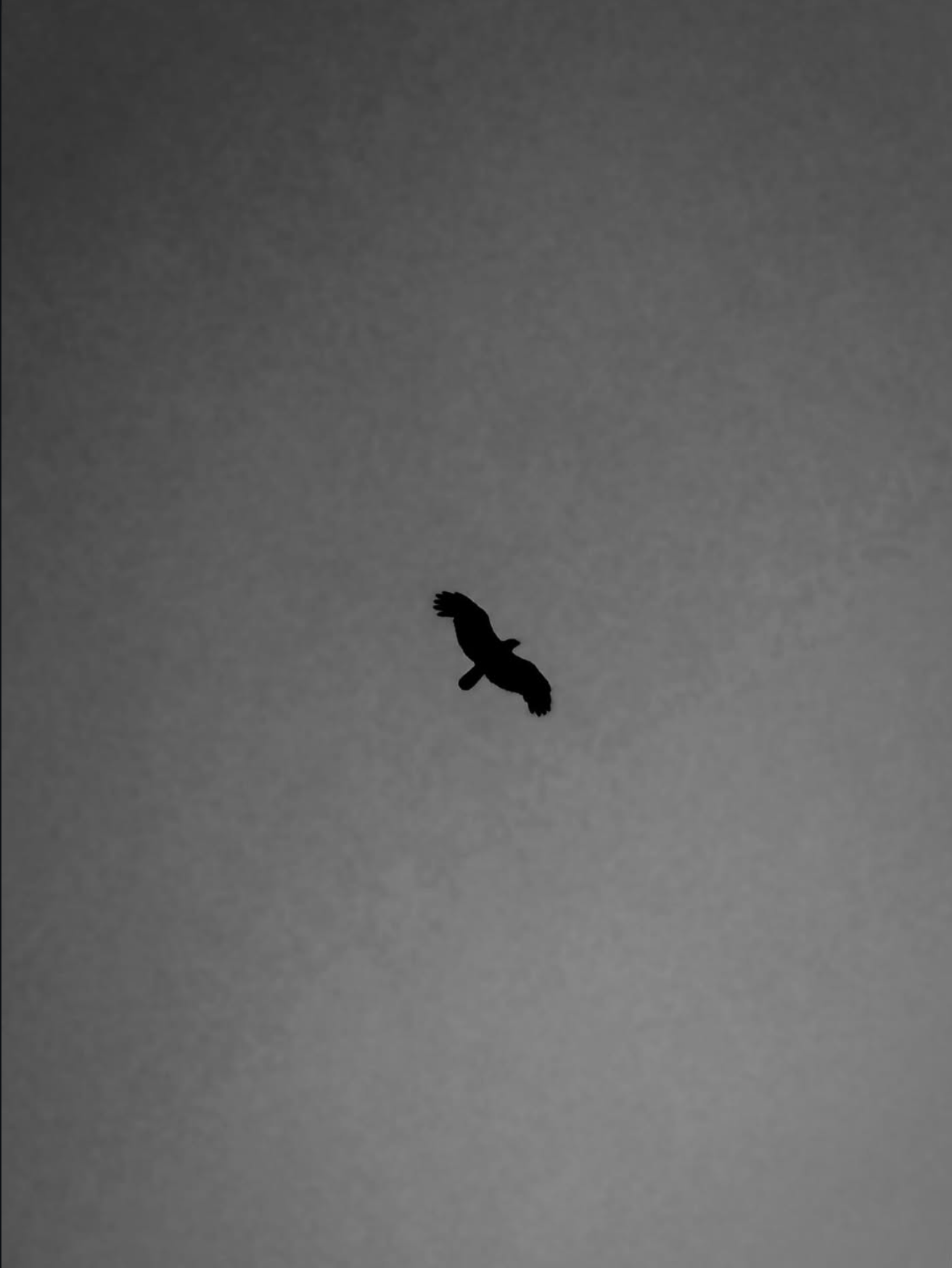 Photograph 2