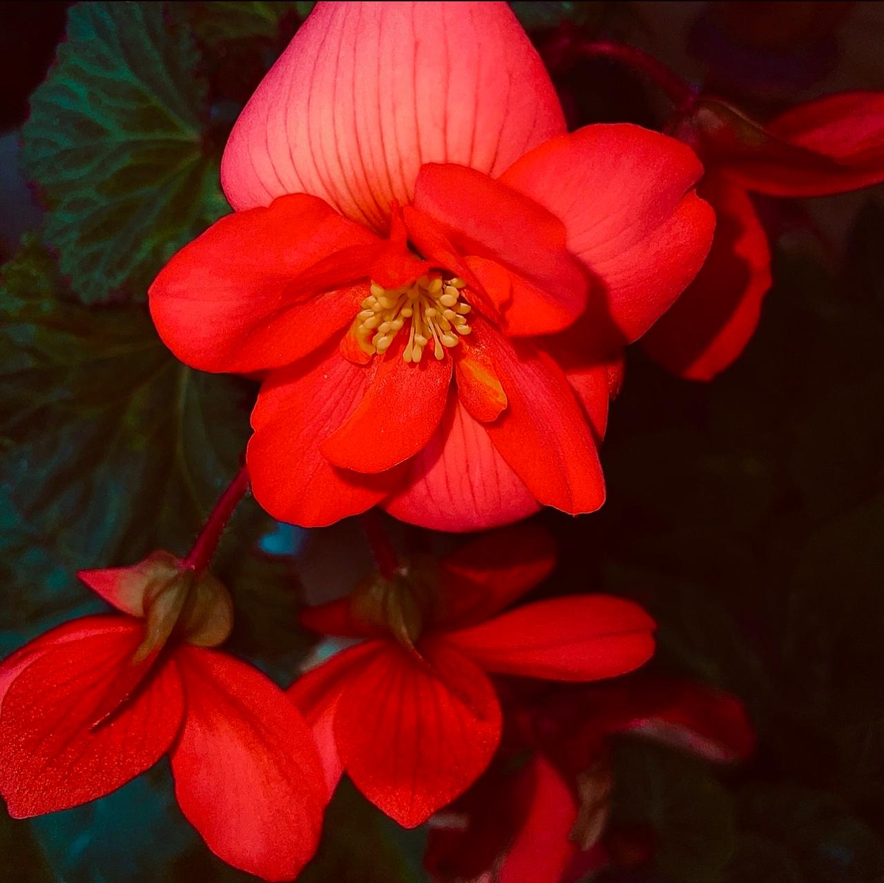 Photograph 8